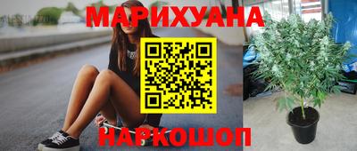 МДПВ Заводоуковск