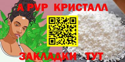 стафф Заволжье