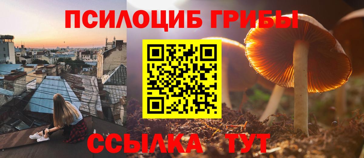 Дюртюли  Псилоцибиновые грибы Magic Shrooms  Вход с VPN  наркотики  Псилоцибиновые грибы Cubensis 